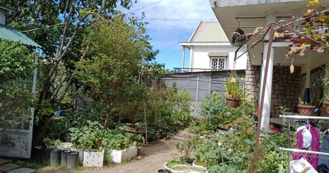 HẠ GIÁ GẤP BÁN NHÀ ĐẤT RỘNG ĐƯỜNG NGUYỄN DU, P9, ĐÀ LẠT 1000m2 - Ảnh 1
